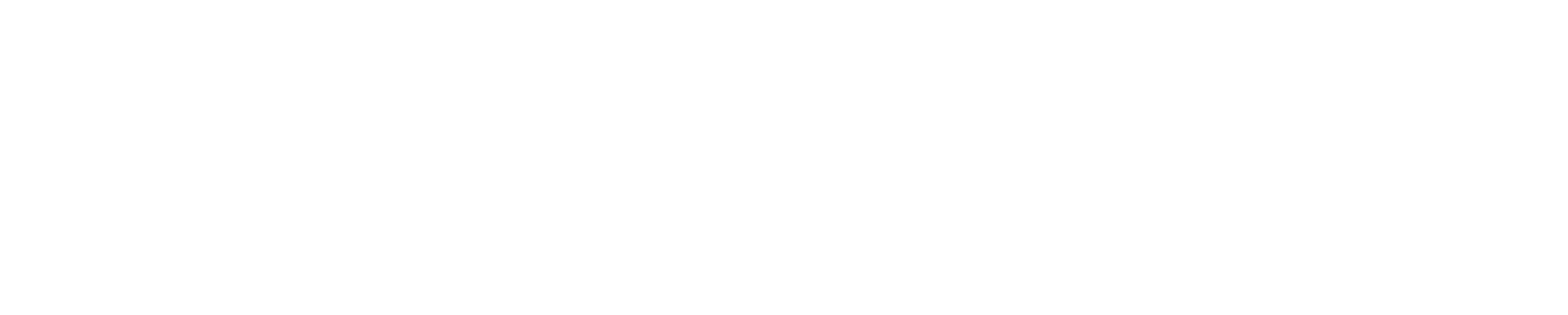 Support IT Ltd